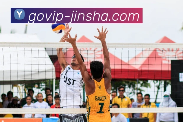 金沙娱乐平台生态图